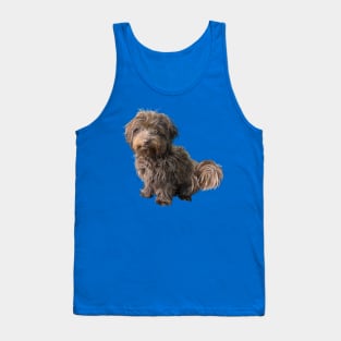 Cute Havanese Dog Tank Top